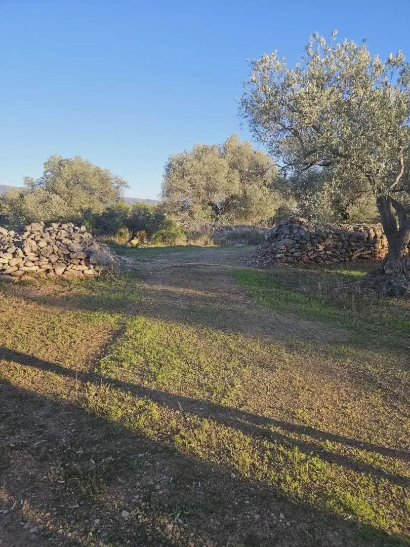 Tomt till salu i Aldover - 46 633 € (Ref: 10024512)