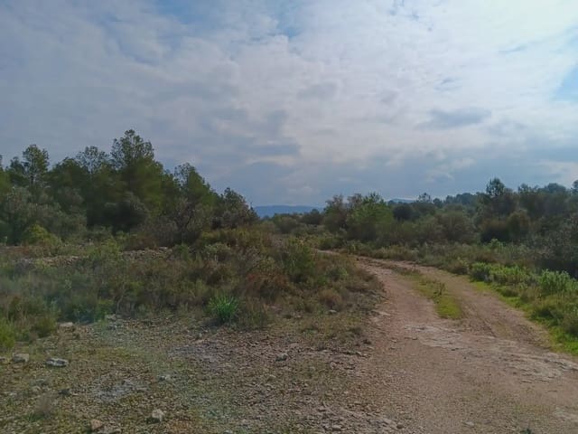 Area Edificabile in vendita in Ginestar - 10.000 € (Rif: 10024521)