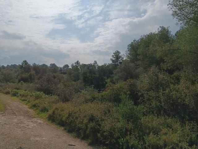 Area Edificabile in vendita in Ginestar - 10.000 € (Rif: 10024521)