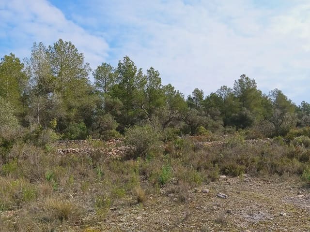 Area Edificabile in vendita in Ginestar - 10.000 € (Rif: 10024521)