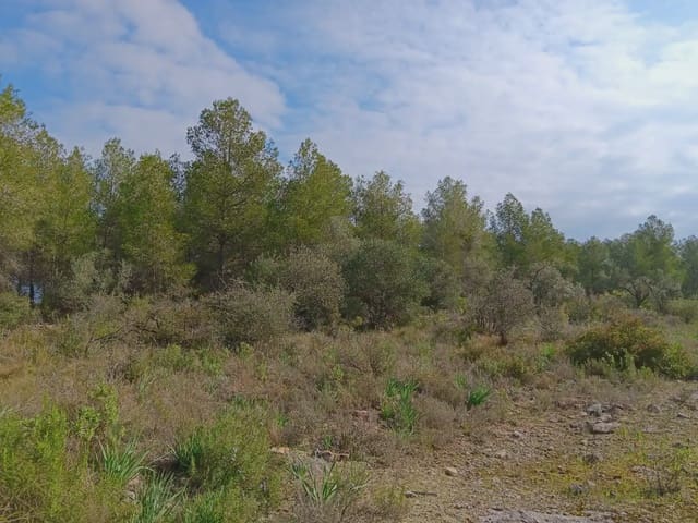 Area Edificabile in vendita in Ginestar - 10.000 € (Rif: 10024521)