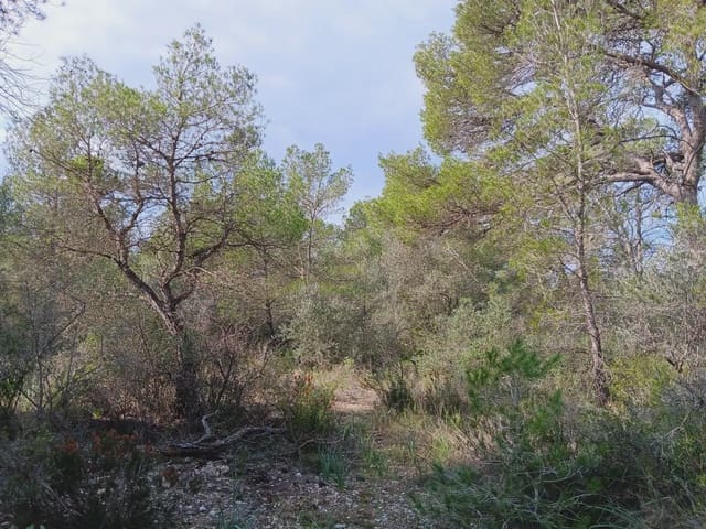 Area Edificabile in vendita in Ginestar - 10.000 € (Rif: 10024521)