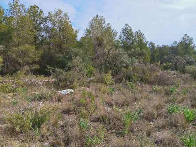 Area Edificabile in vendita in Ginestar - 10.000 € (Rif: 10024521)
