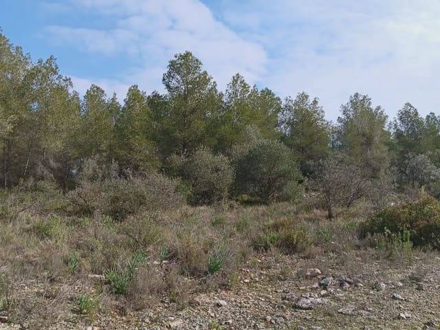 Area Edificabile in vendita in Ginestar - 10.000 € (Rif: 10024521)
