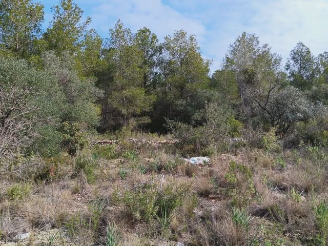 Area Edificabile in vendita in Ginestar - 10.000 € (Rif: 10024521)