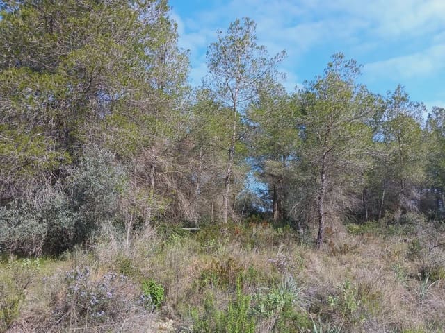 Area Edificabile in vendita in Ginestar - 10.000 € (Rif: 10024521)