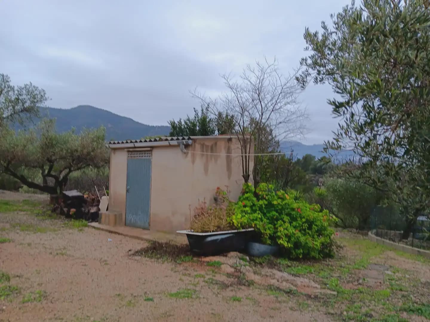 Area Edificabile in vendita in Tortosa - 65.000 € (Rif: 10024523)