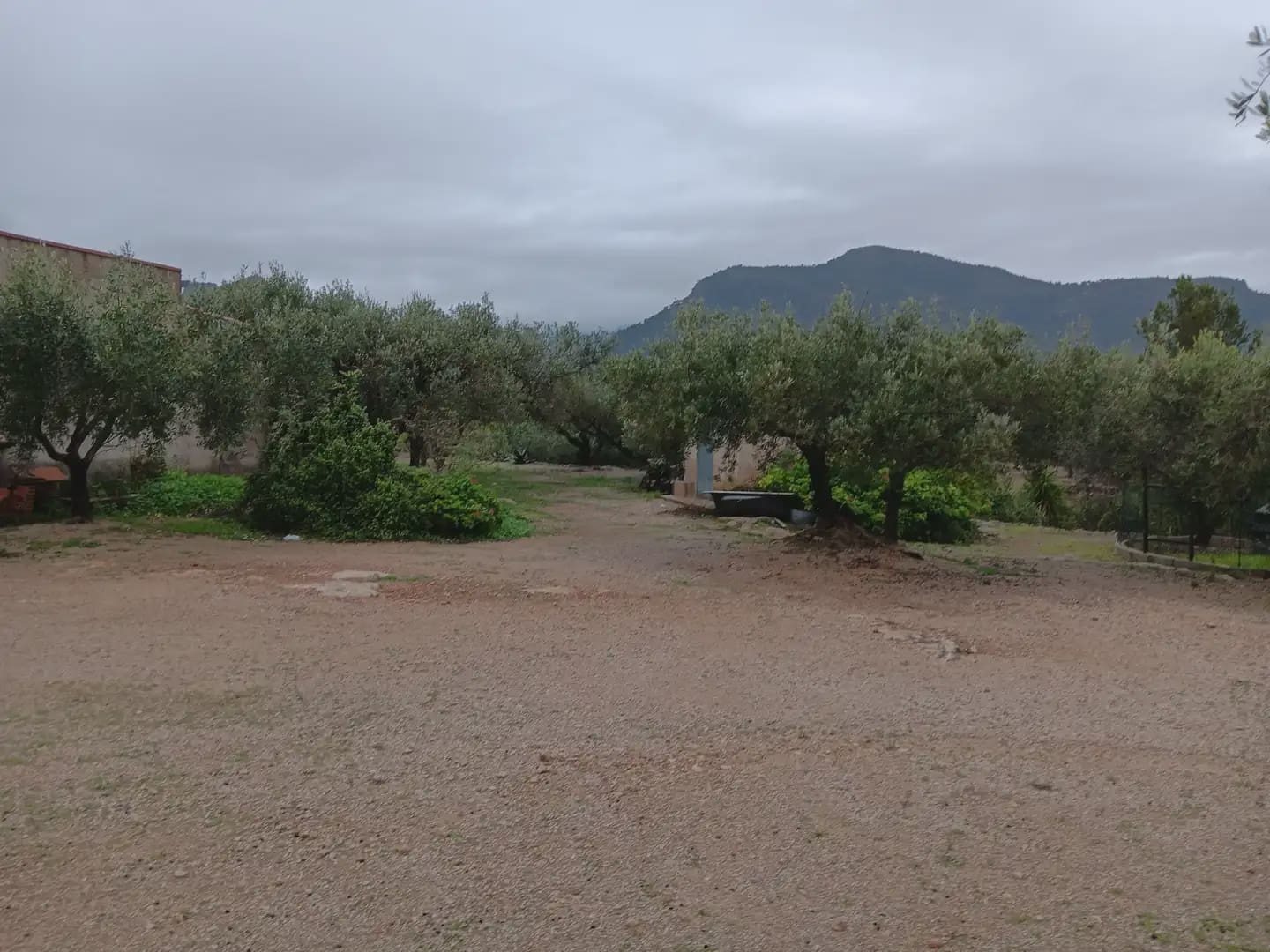 Area Edificabile in vendita in Tortosa - 65.000 € (Rif: 10024523)