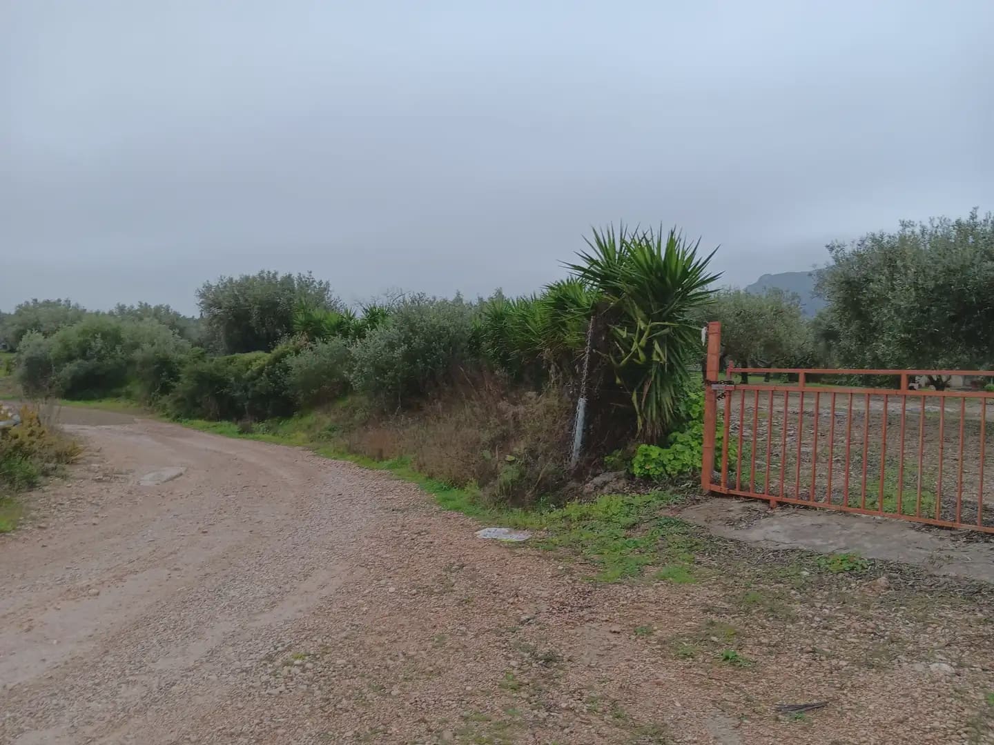 Area Edificabile in vendita in Tortosa - 65.000 € (Rif: 10024523)
