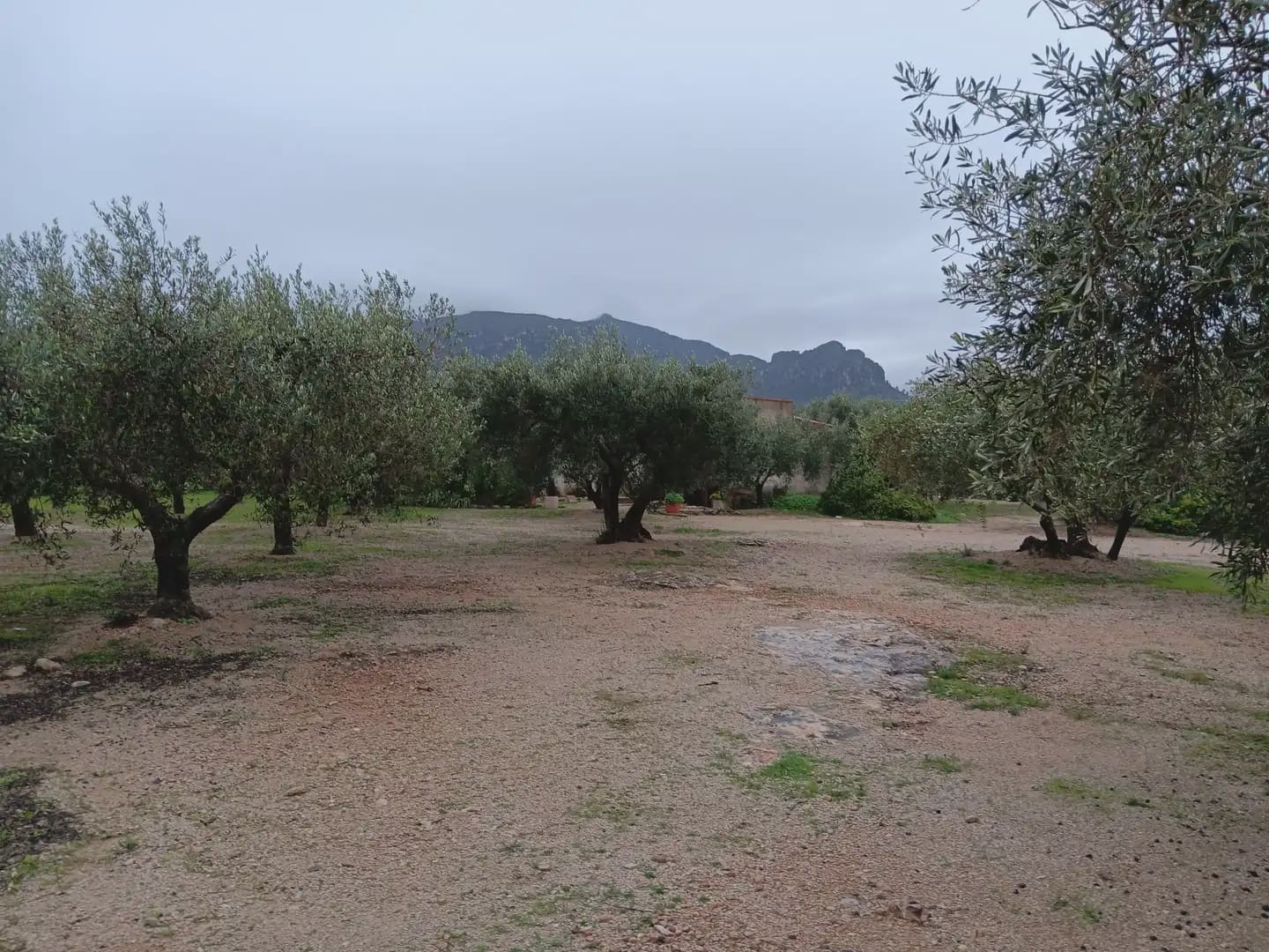 Area Edificabile in vendita in Tortosa - 65.000 € (Rif: 10024523)