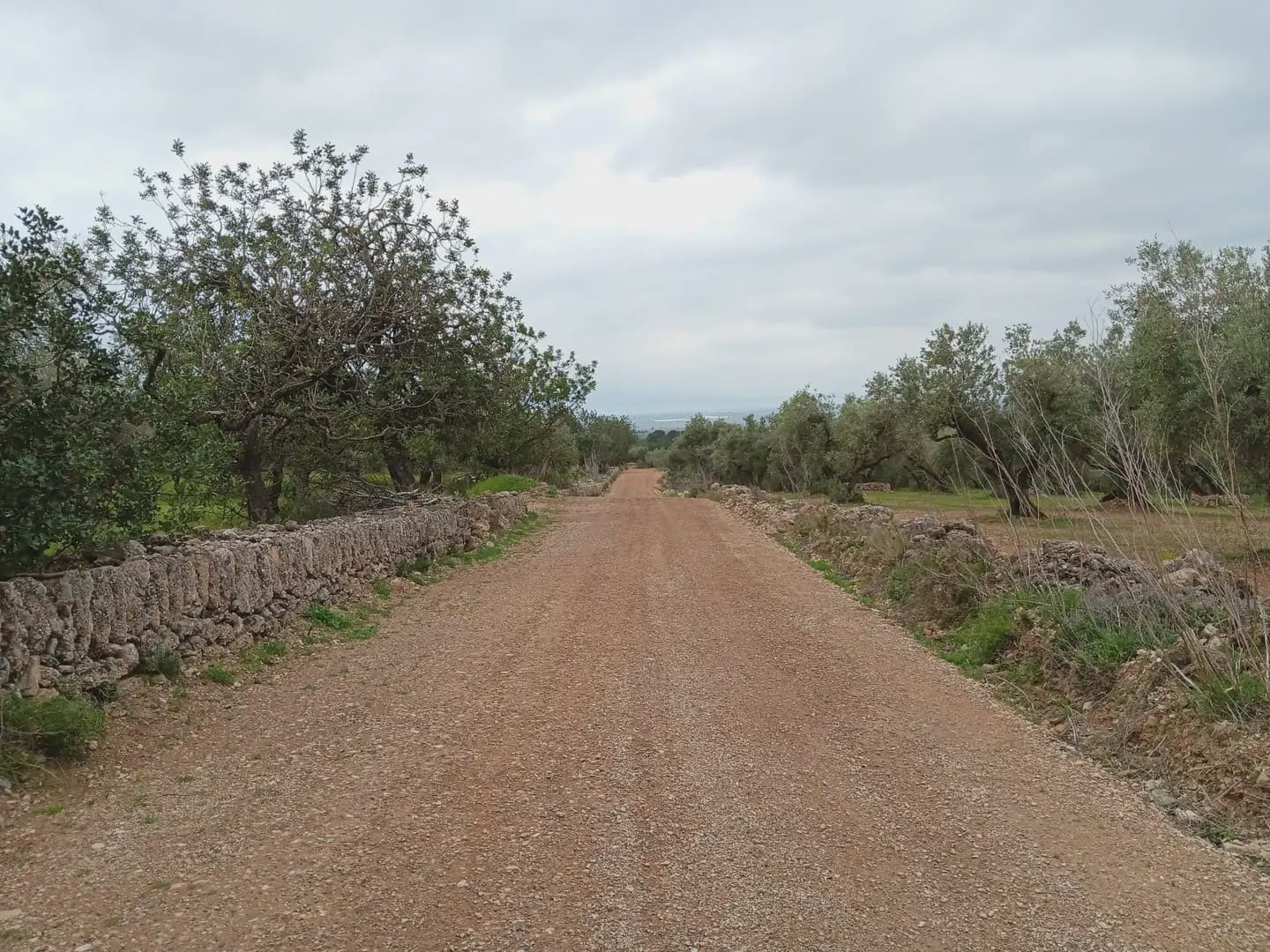 Area Edificabile in vendita in Tortosa - 50.000 € (Rif: 10024526)