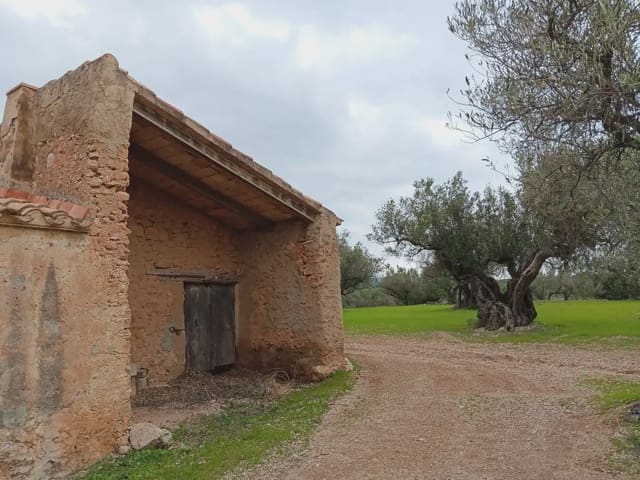 Tomt till salu i Els Reguers, Tortosa - 50 000 € (Ref: 10024526)