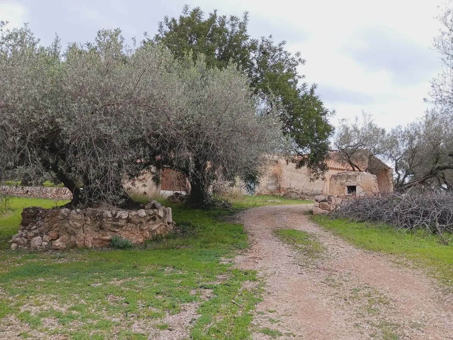 Area Edificabile in vendita in Tortosa - 50.000 € (Rif: 10024526)