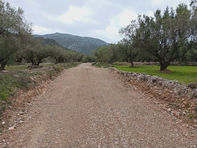 Tomt till salu i Els Reguers, Tortosa - 50 000 € (Ref: 10024526)