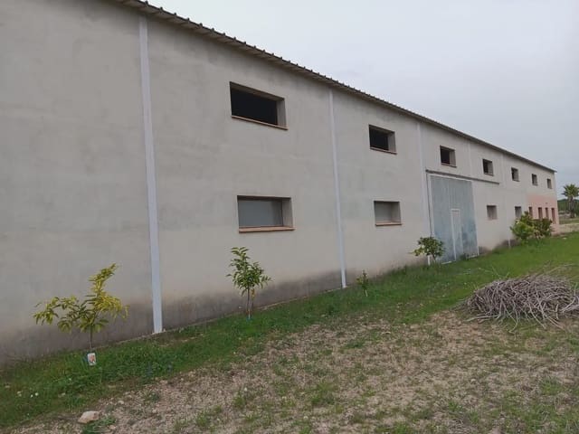 Local Comercial en Ginestar en venta - 280.000 € (Ref: 10024527)