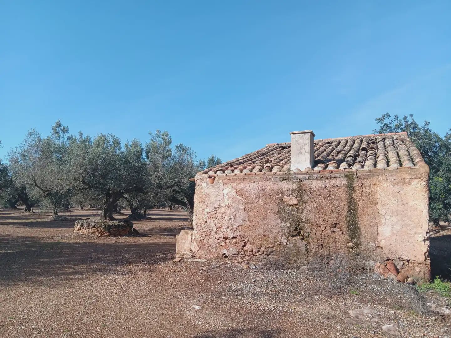 Terrain à Bâtir à vendre à Roquetes - 75 000 € (Ref: 10024530)