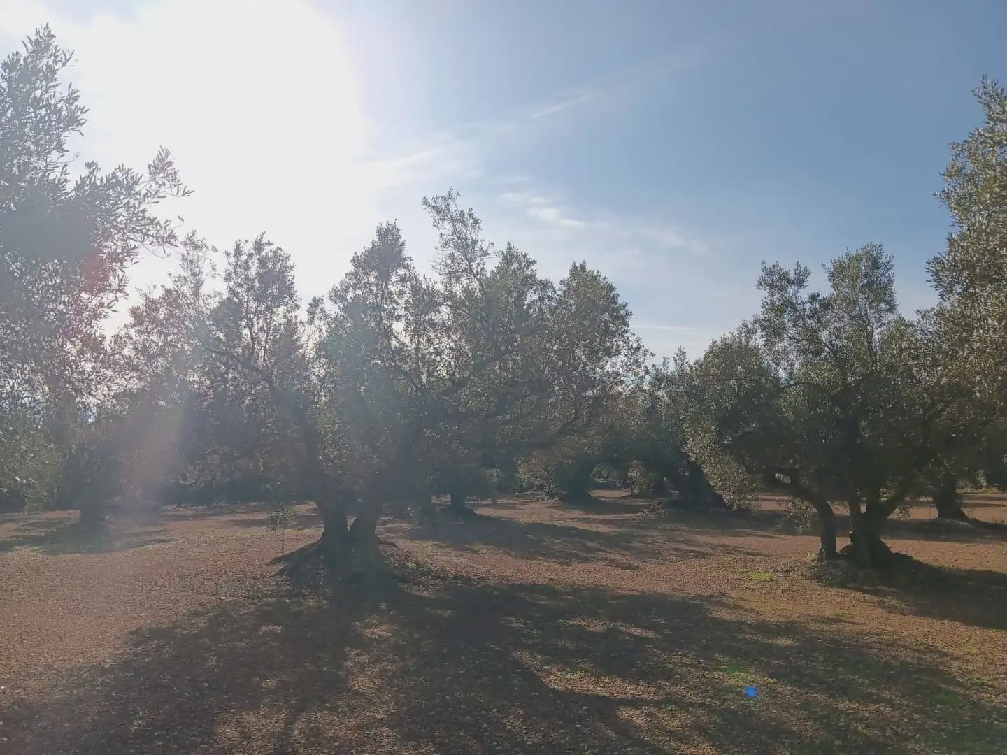 Terrain à Bâtir à vendre à Roquetes - 75 000 € (Ref: 10024530)