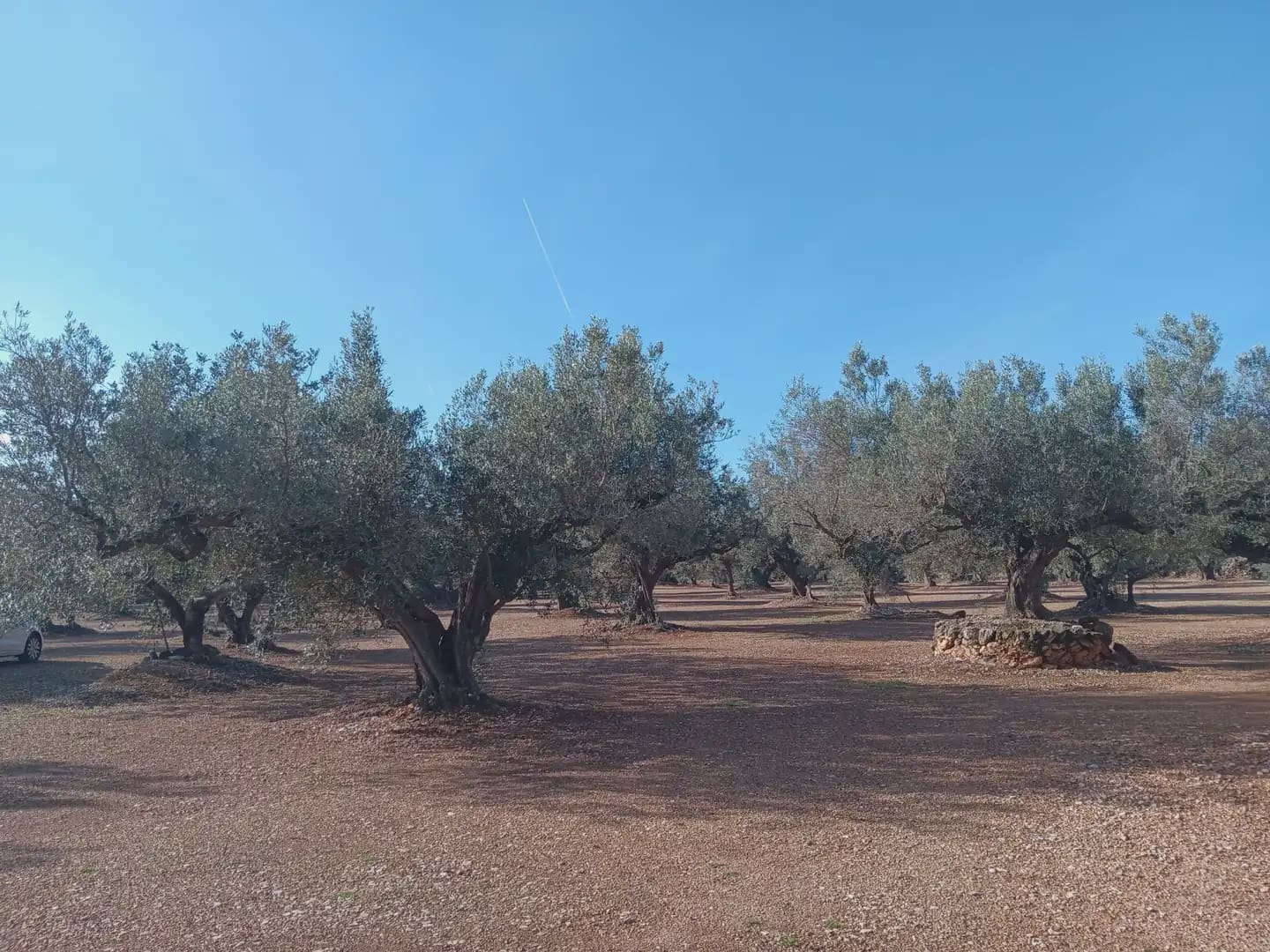 Terrain à Bâtir à vendre à Roquetes - 75 000 € (Ref: 10024530)