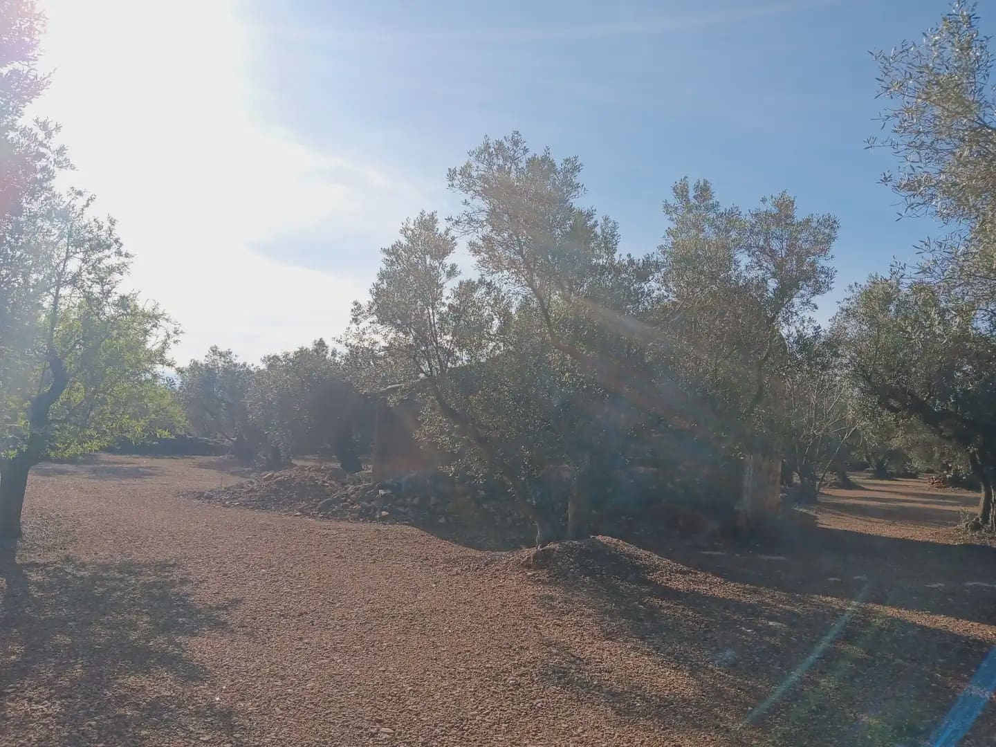 Terrain à Bâtir à vendre à Roquetes - 75 000 € (Ref: 10024530)