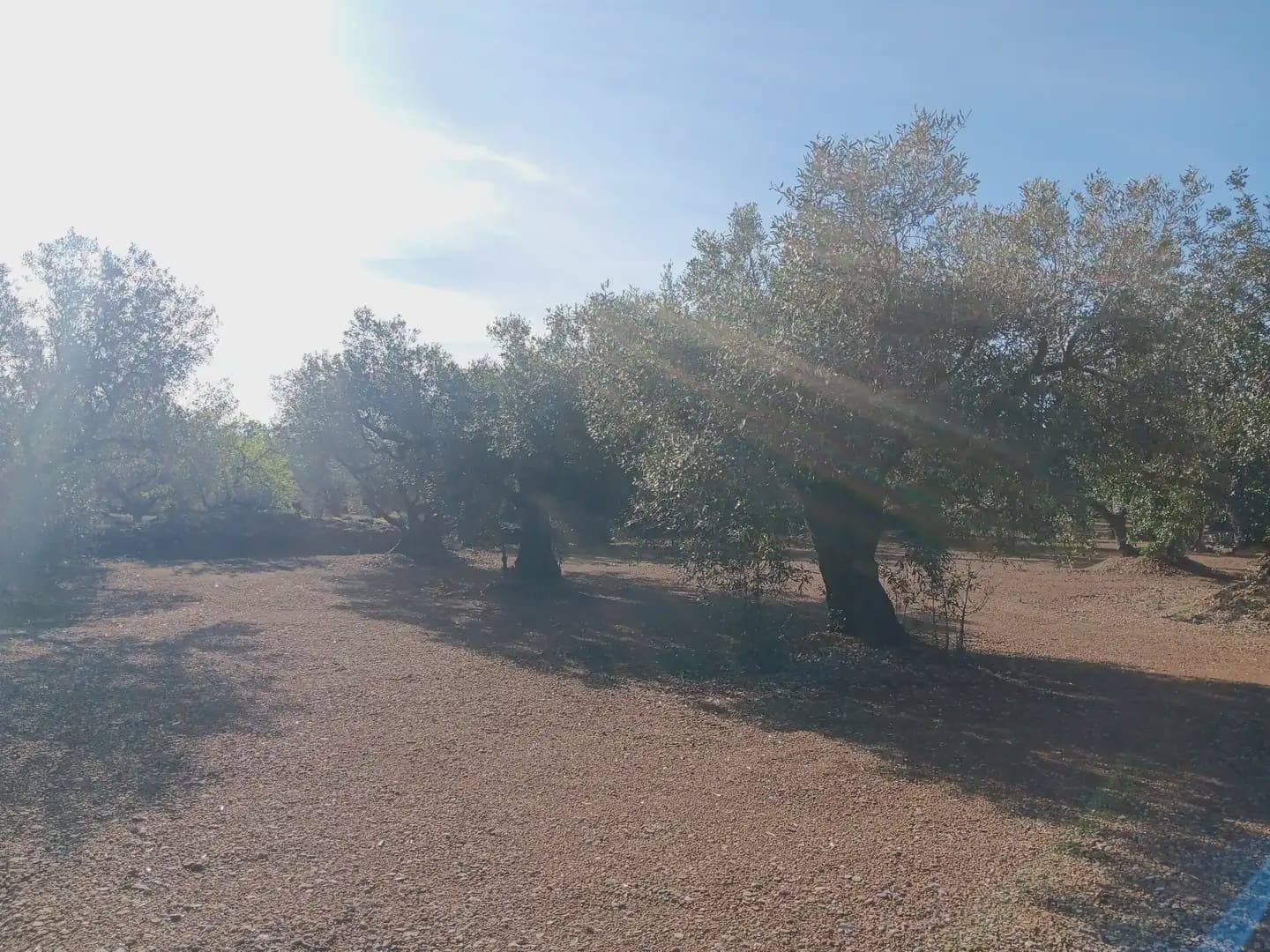 Terrain à Bâtir à vendre à Roquetes - 75 000 € (Ref: 10024530)