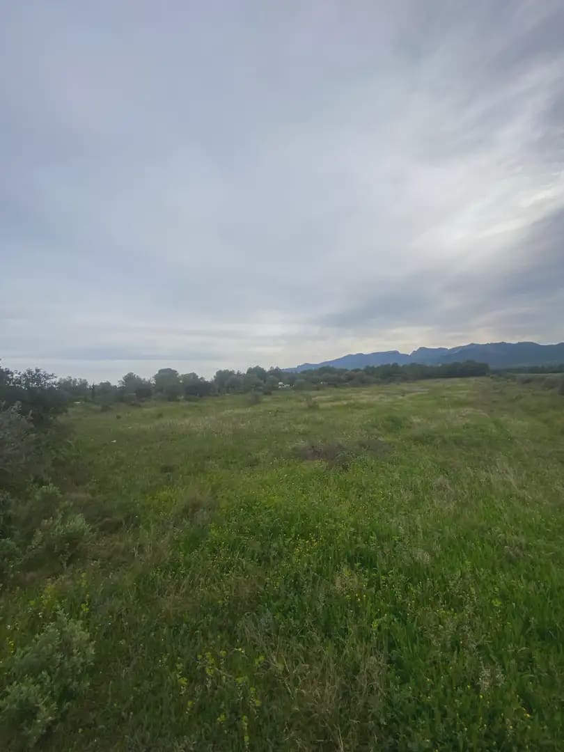 Solar/Parcela en Ginestar en venta - 130.000 € (Ref: 10024531)