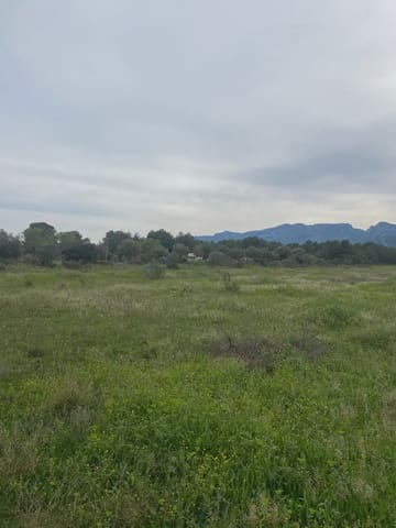 Area Edificabile in vendita in Ginestar - 130.000 € (Rif: 10024531)