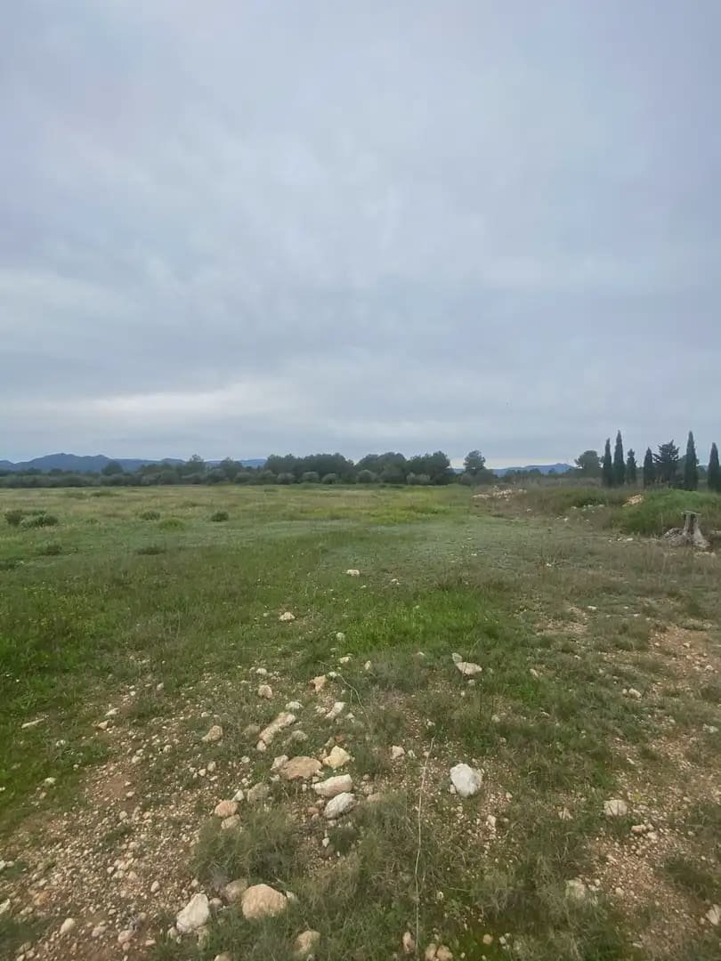 Solar/Parcela en Ginestar en venta - 130.000 € (Ref: 10024531)