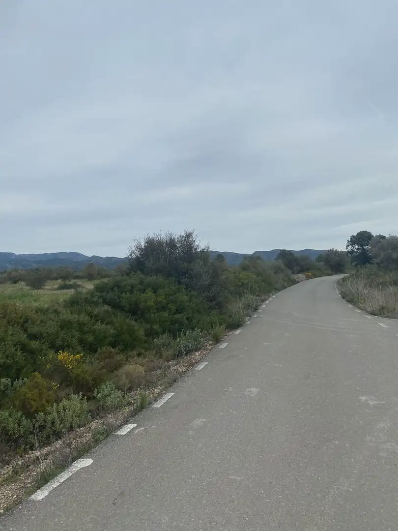 Solar/Parcela en Ginestar en venta - 130.000 € (Ref: 10024531)