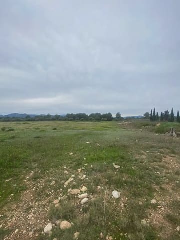 Area Edificabile in vendita in Ginestar - 130.000 € (Rif: 10024531)