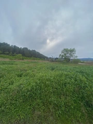 Area Edificabile in vendita in Ginestar - 130.000 € (Rif: 10024531)