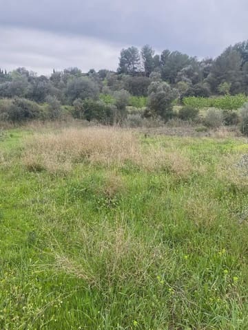 Area Edificabile in vendita in Ginestar - 130.000 € (Rif: 10024531)