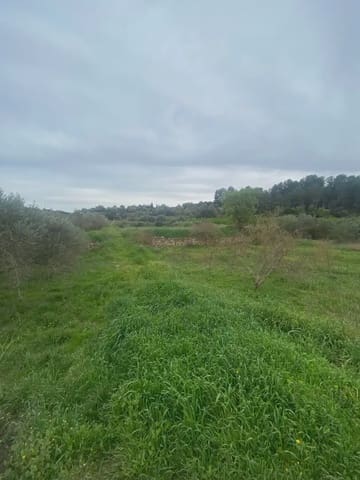 Area Edificabile in vendita in Ginestar - 35.000 € (Rif: 10024532)