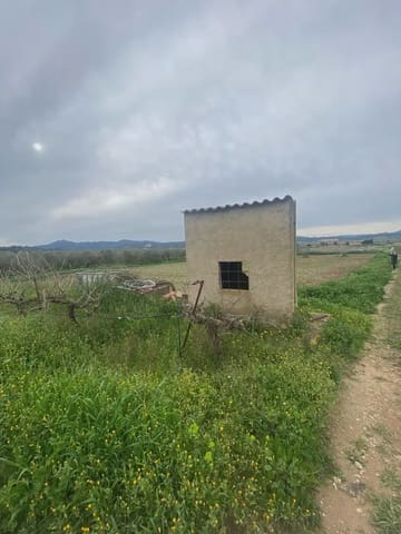 Area Edificabile in vendita in Ginestar - 35.000 € (Rif: 10024532)
