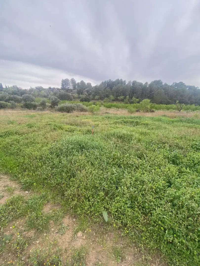 Bauplatz zu verkaufen in Ginestar - 35.000 € (Ref: 10024532)