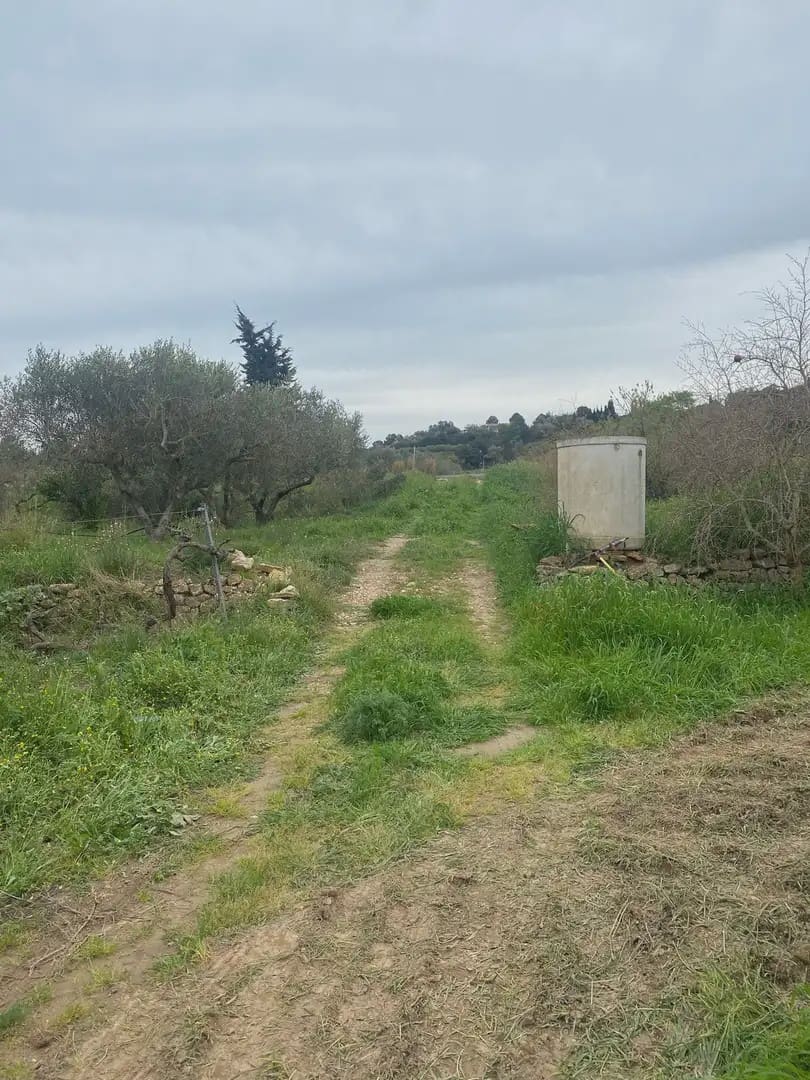 Bauplatz zu verkaufen in Ginestar - 35.000 € (Ref: 10024532)