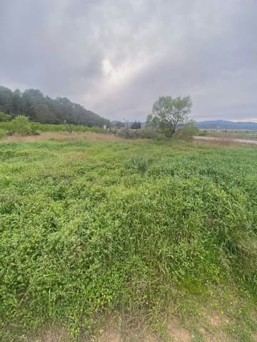 Area Edificabile in vendita in Ginestar - 35.000 € (Rif: 10024532)