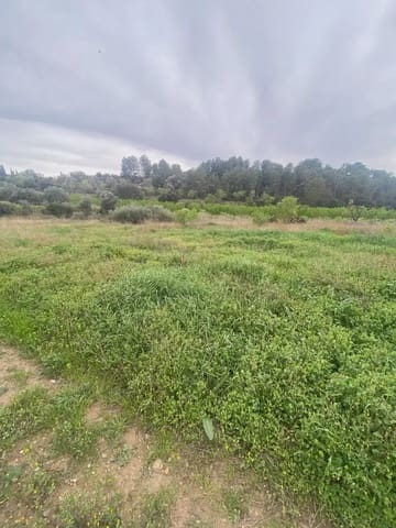 Area Edificabile in vendita in Ginestar - 35.000 € (Rif: 10024532)