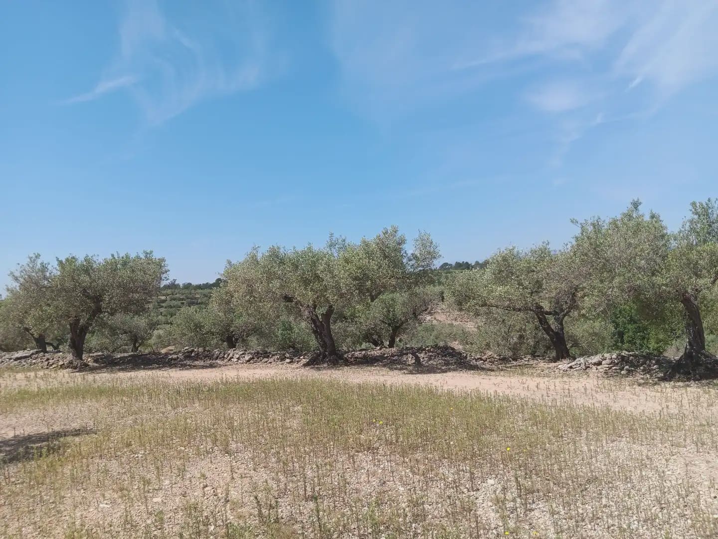Building Plot for sale in Camarles - € 44,000 (Ref: 10024533)