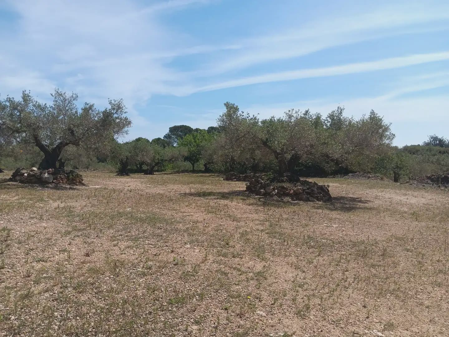 Building Plot for sale in Camarles - € 44,000 (Ref: 10024533)