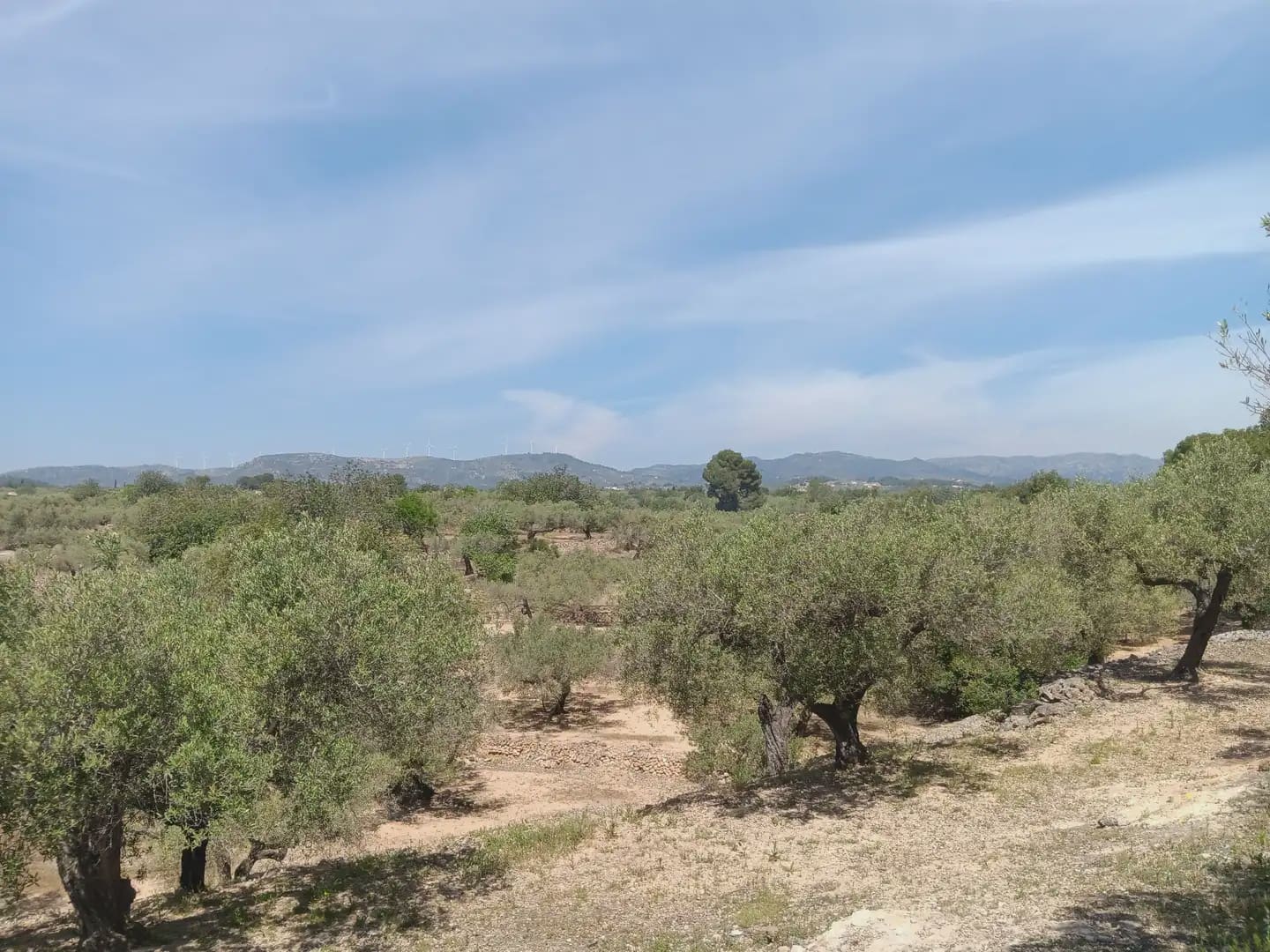 Building Plot for sale in Camarles - € 44,000 (Ref: 10024533)