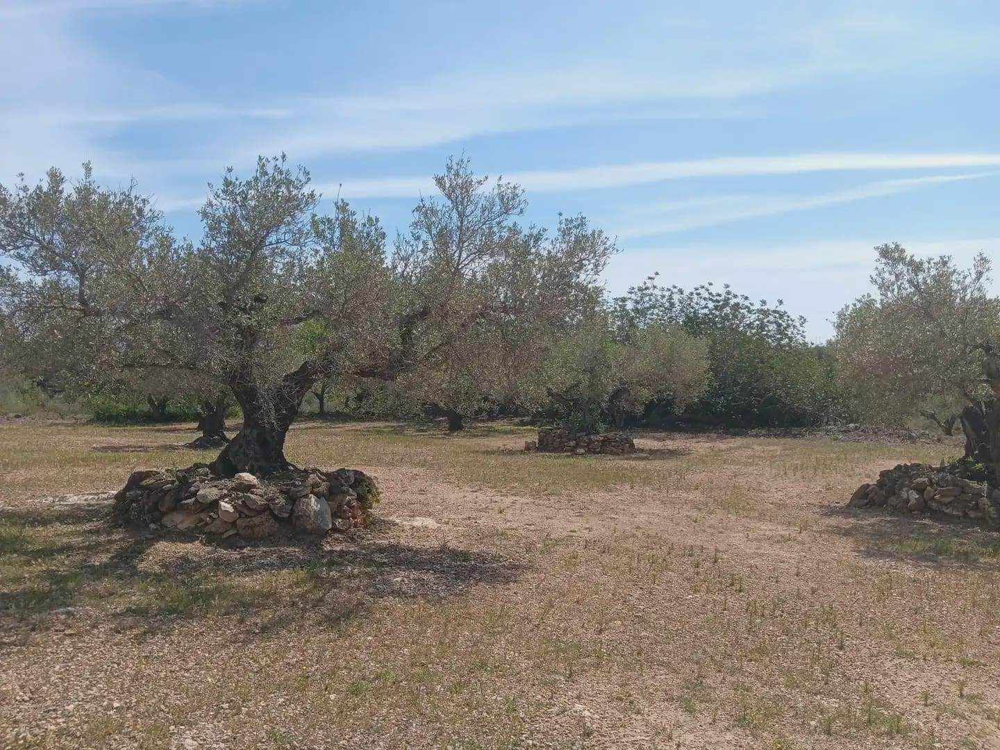 Building Plot for sale in Camarles - € 44,000 (Ref: 10024533)