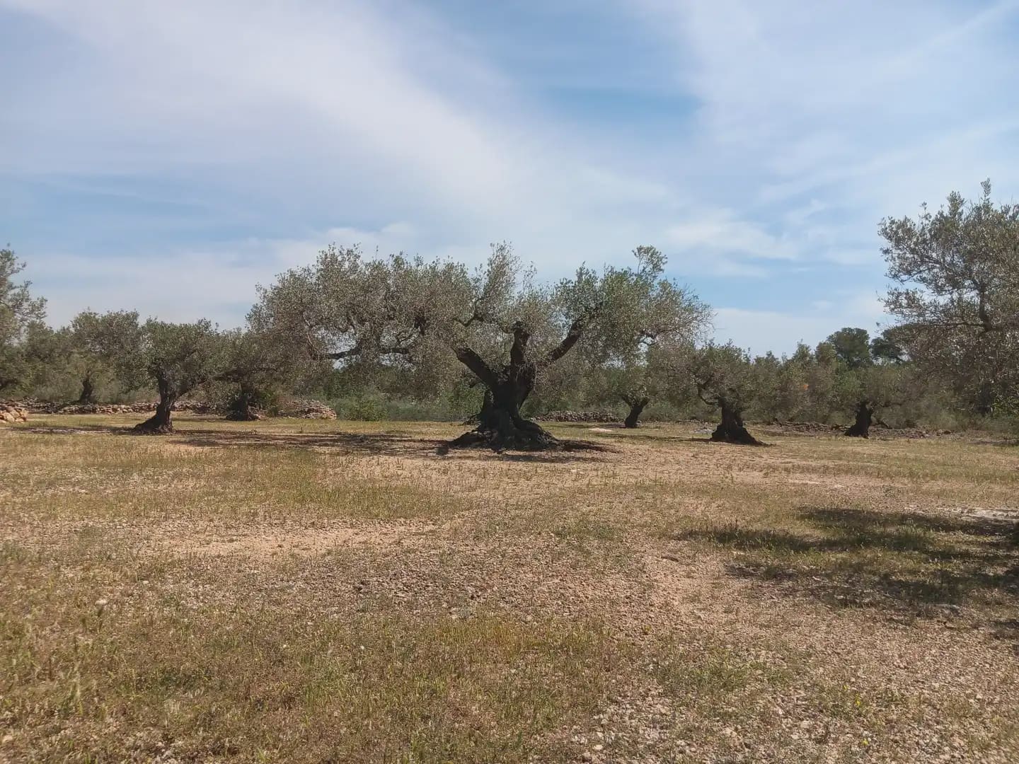 Building Plot for sale in Camarles - € 44,000 (Ref: 10024533)