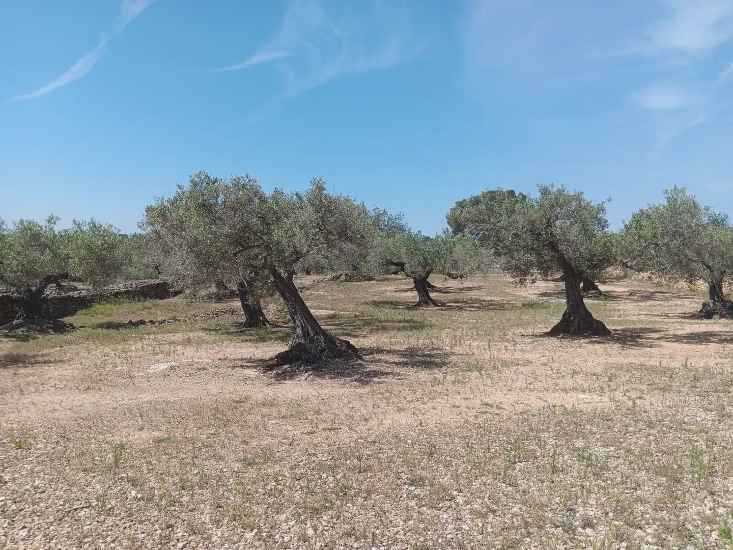 Building Plot for sale in Camarles - € 44,000 (Ref: 10024533)