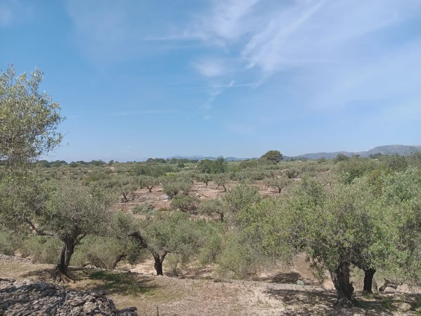 Building Plot for sale in Camarles - € 44,000 (Ref: 10024533)