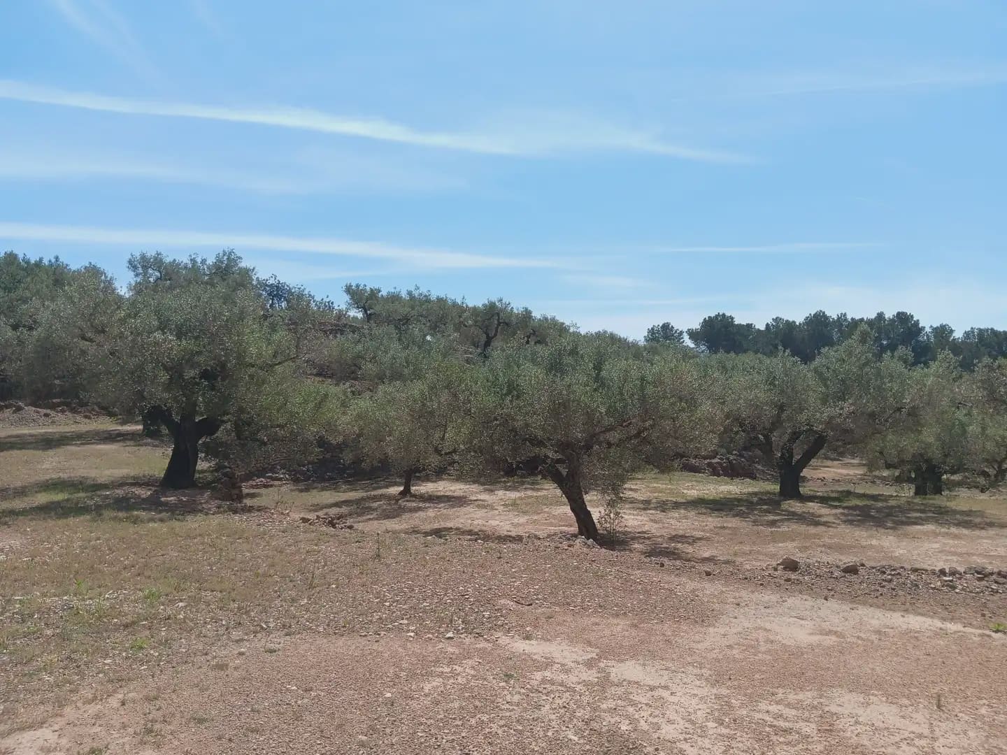 Building Plot for sale in Camarles - € 44,000 (Ref: 10024533)