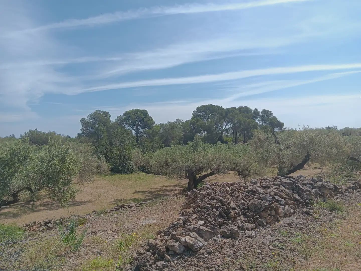 Building Plot for sale in Camarles - € 44,000 (Ref: 10024533)