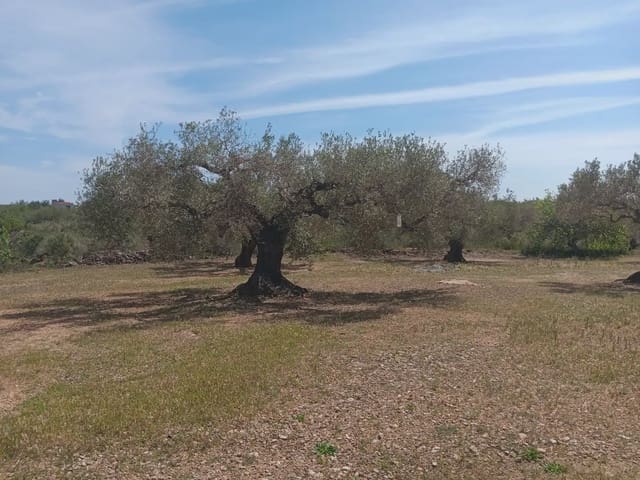 Building Plot for sale in Camarles - € 44,000 (Ref: 10024533)