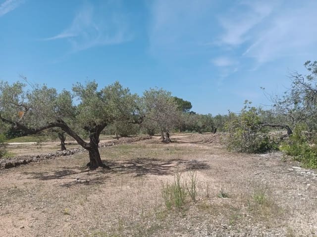 Building Plot for sale in Camarles - € 44,000 (Ref: 10024533)
