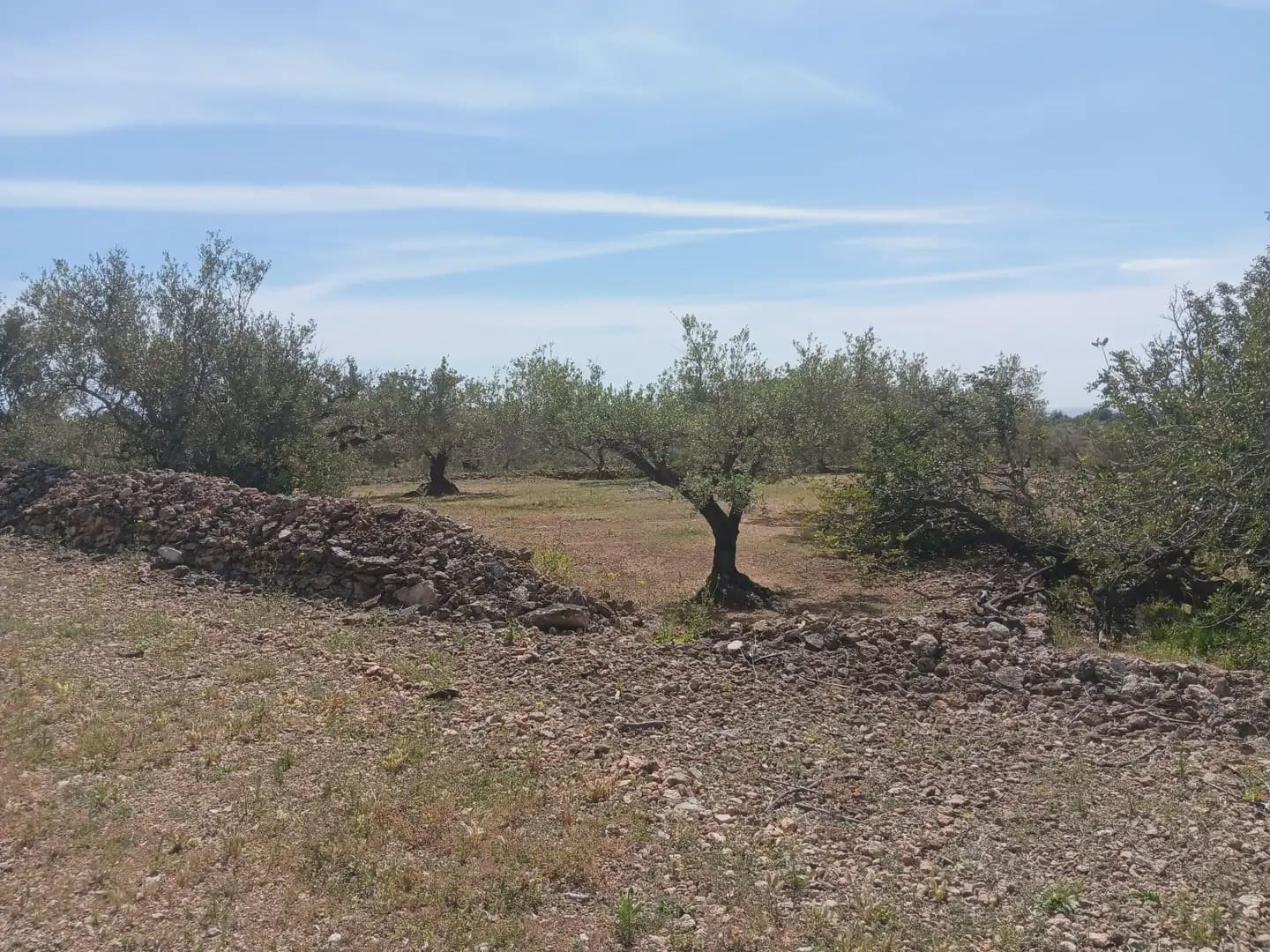 Building Plot for sale in Camarles - € 44,000 (Ref: 10024533)