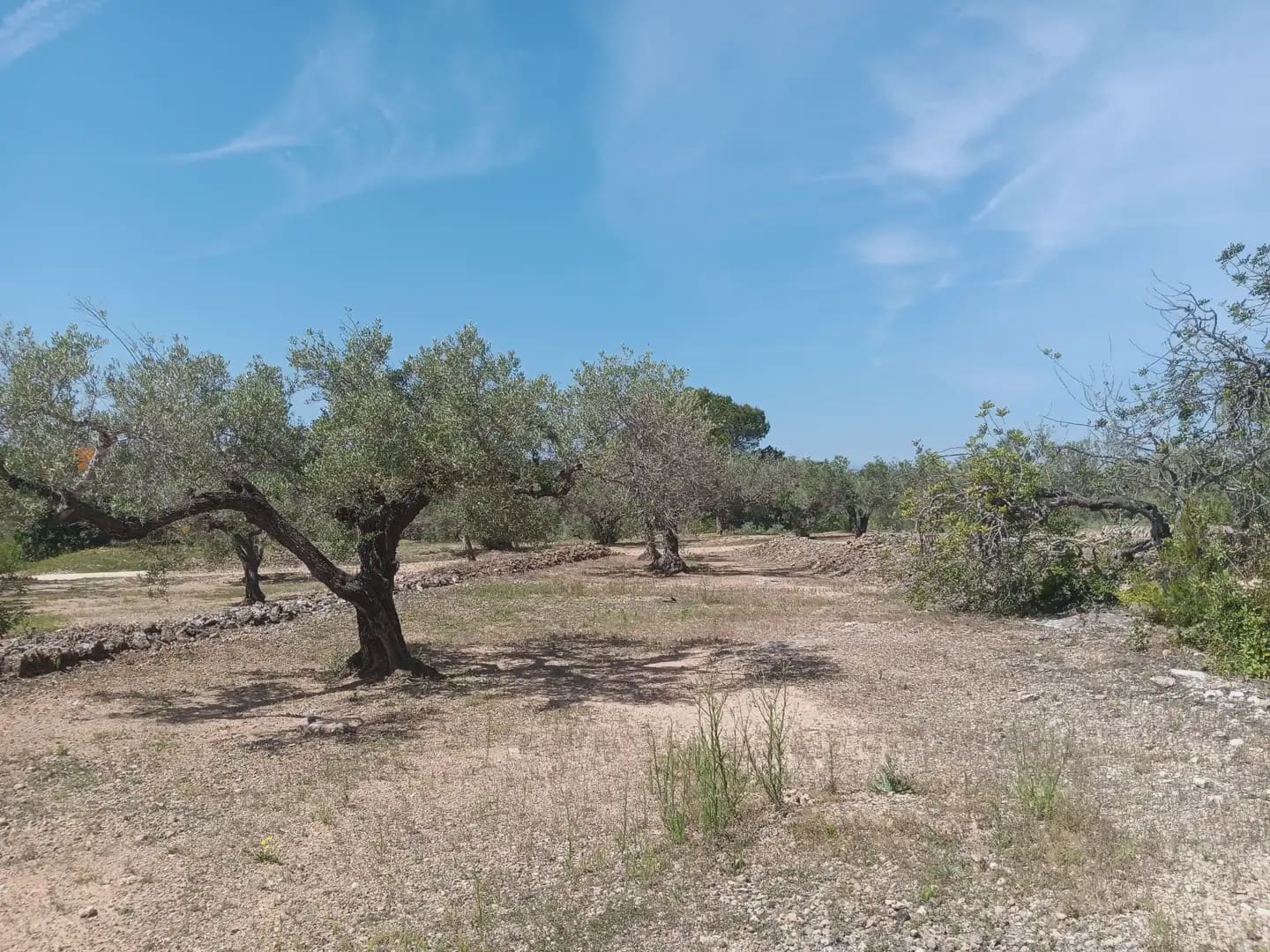 Building Plot for sale in Camarles - € 44,000 (Ref: 10024533)
